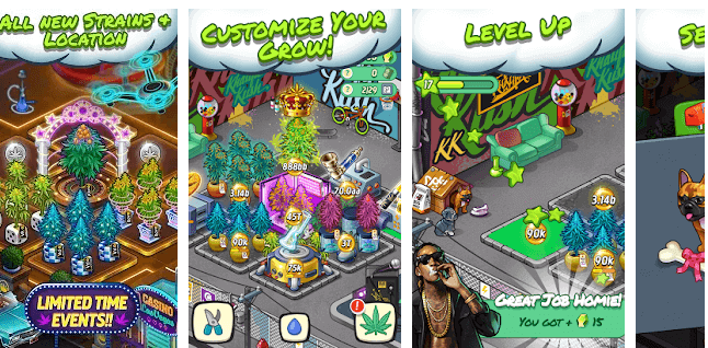 Wiz Khalifa's Cannabis Farm Wiz Khalifa's Cannabis Farm